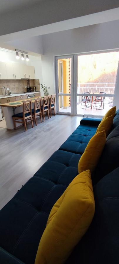 Duplex Belle View Sinaia-Free Parking公寓 外观 照片
