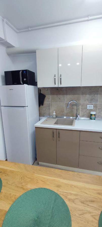 Duplex Belle View Sinaia-Free Parking公寓 外观 照片