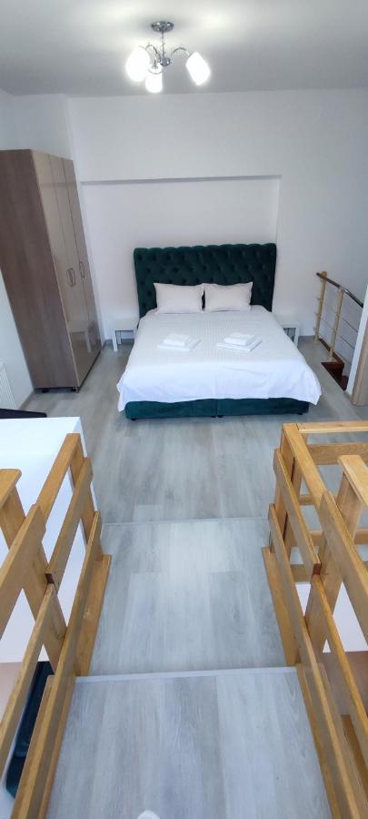 Duplex Belle View Sinaia-Free Parking公寓 外观 照片