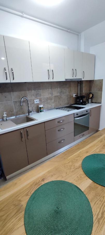 Duplex Belle View Sinaia-Free Parking公寓 外观 照片