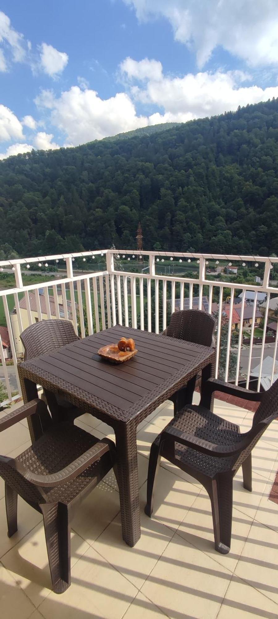 Duplex Belle View Sinaia-Free Parking公寓 外观 照片