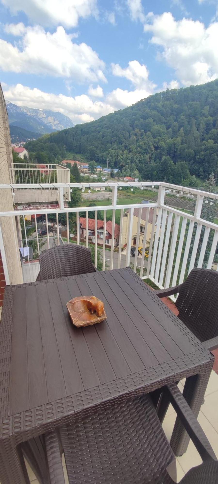 Duplex Belle View Sinaia-Free Parking公寓 外观 照片