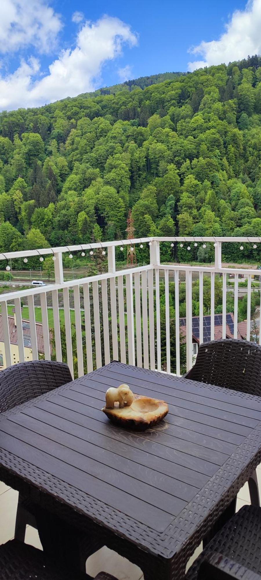 Duplex Belle View Sinaia-Free Parking公寓 外观 照片