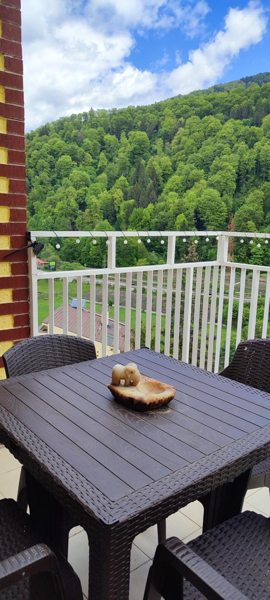 Duplex Belle View Sinaia-Free Parking公寓 外观 照片