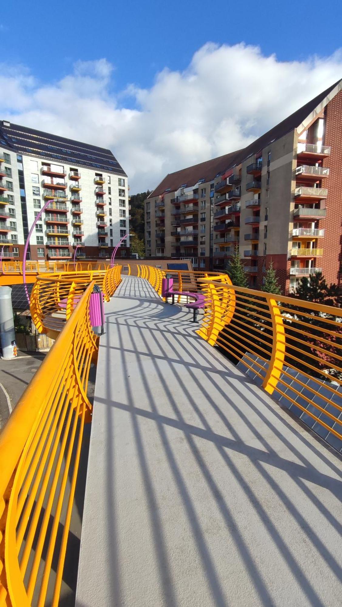 Duplex Belle View Sinaia-Free Parking公寓 外观 照片